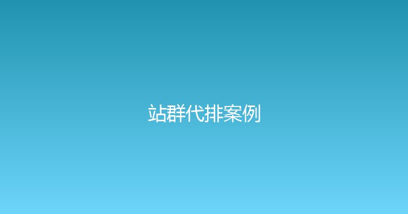 站群代排案例 封面图