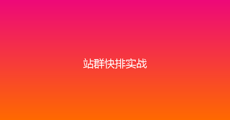站群快排实战 封面图
