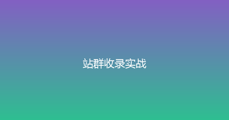 站群收录实战 封面图