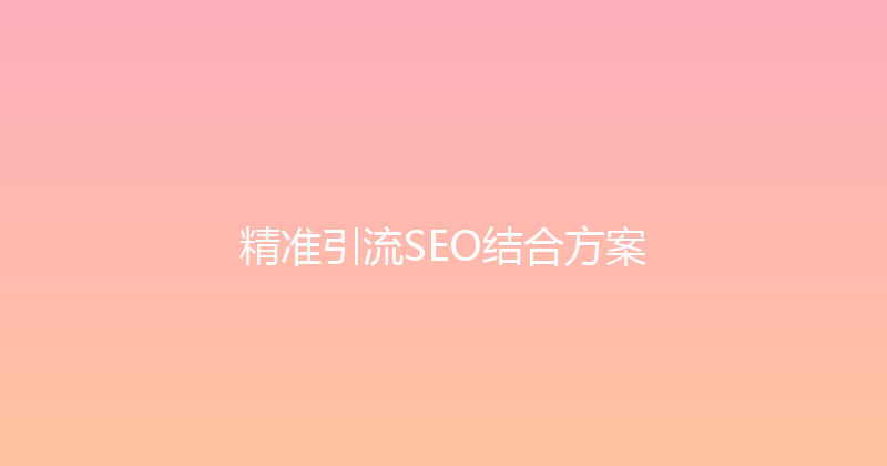 精准引流SEO结合方案 封面图